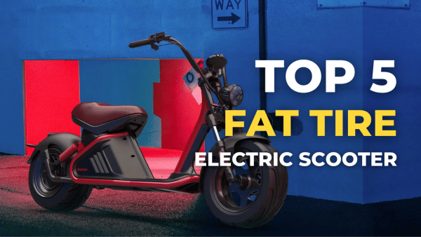 5 Best Fat Tire Scooter 2022-2023 | Links ERide